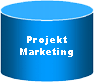 Zylinder: Projekt Marketing